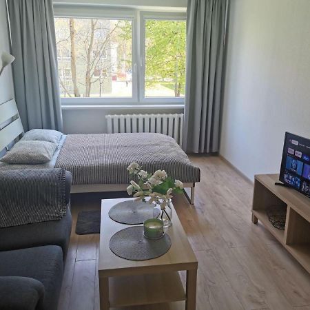 Modern Studio Debreceno, Self-Check-In, Free Parking クライペダ エクステリア 写真