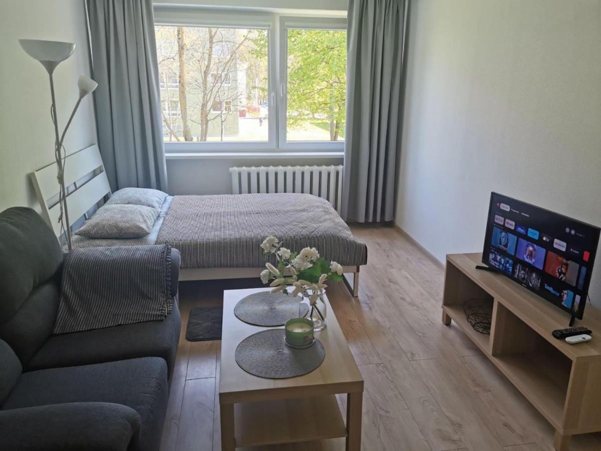 Modern Studio Debreceno, Self-Check-In, Free Parking クライペダ エクステリア 写真